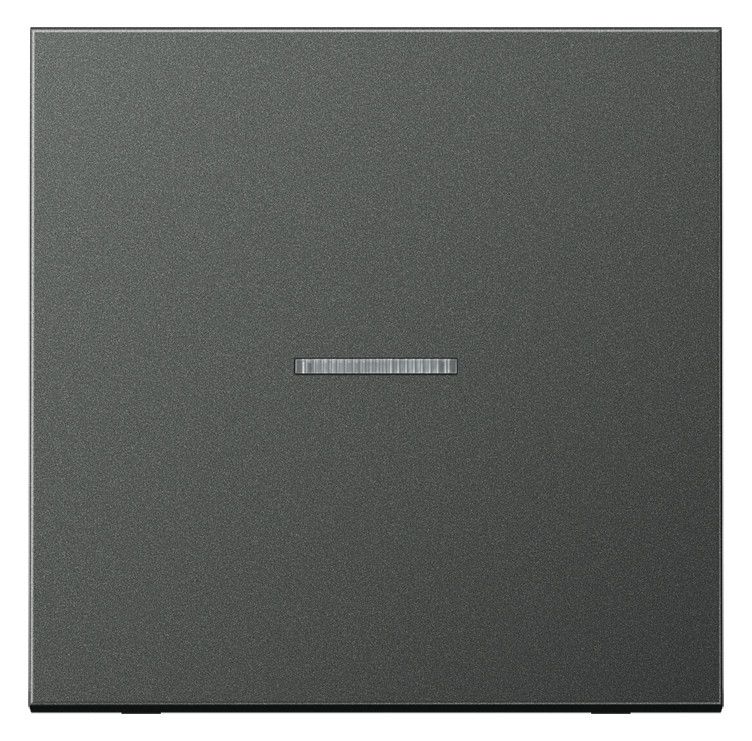 Jung AL2990KO5AN Wippe Lichtleiter LS Aluminium anthrazit