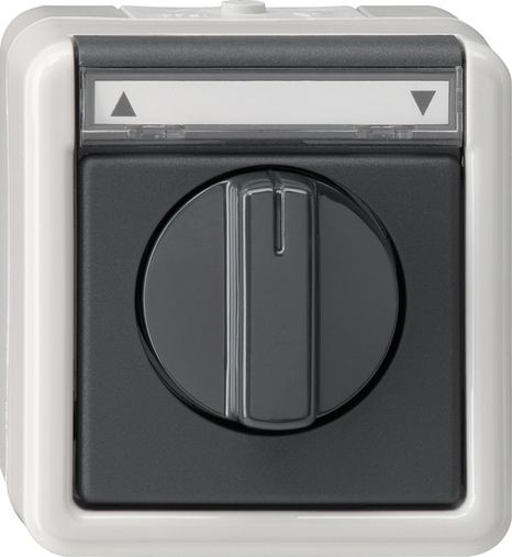 GIRA 015430 Jalousie 1-polig BSF WG AP Grau