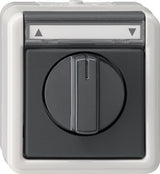 GIRA 015430 Jalousie 1-polig BSF WG AP Grau