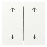 GIRA 329727 Wippe 2fach Pfeile System 55 Reinweiß seidenmatt