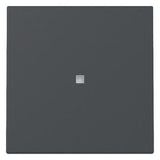 GIRA 329028 Wippe Kontrollfenster Anthrazit