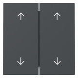 GIRA 329728 Wippe 2fach Pfeile System 55 Anthrazit
