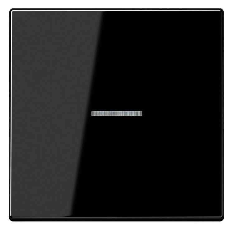 Jung LS990KO5SW Wippe Lichtleiter schwarz