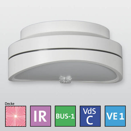 histar DUAL C360 BUS