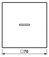 Jung ES2990KO5 Wippe Lichtleiter LS Edelstahl