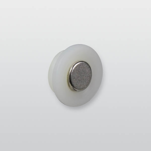 Magnet für Sperrelement