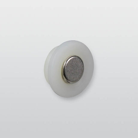 Magnet für Sperrelement