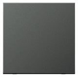 Jung AL2990AN Wippe LS Aluminium anthrazit