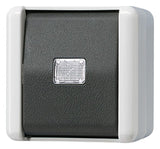Jung 831W AP/WG Taster Schließer 1polig WG800