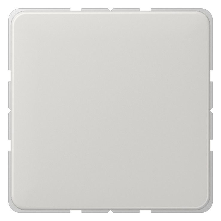Jung CD594-0LG Blind-Abdeckung m.Tragring verrastet lichtgrau