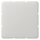 Jung CD594-0LG Blind-Abdeckung m.Tragring verrastet lichtgrau