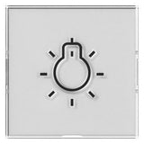 GIRA 321600 Wippe+BSF+Symbol Licht groß Farbneutral