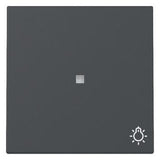 GIRA 367428 Wippe Kontrollfenster+Symbol Licht System 55 Anthrazit