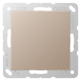 Jung A594-0CH Blind-Abdeckung m.Tragring verrastet Serie A champagner
