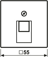 Jung A569-1BFPLUASWM Abdeckung f.IAE/UAE-Anschlussdose