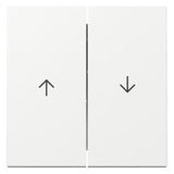 GIRA 329403 Wippe 2fach Pfeil System 55 Reinweiß glänzend