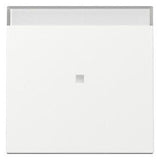 GIRA 367003 Wippe Kontrollfenster+BSF System 55 Reinweiß glänzend
