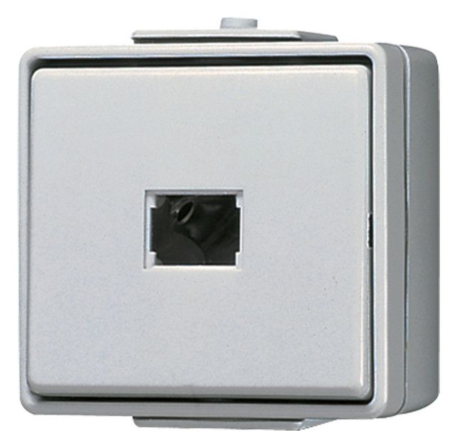 Jung 631W AP/WG Taster Schließer 1polig o.Symbol WG600