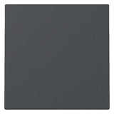 GIRA 329628 Wippe System 55 Anthrazit