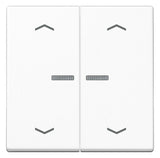 Jung A102KO5PWW Wippe f.Serientaster KO Weiß (WW)
