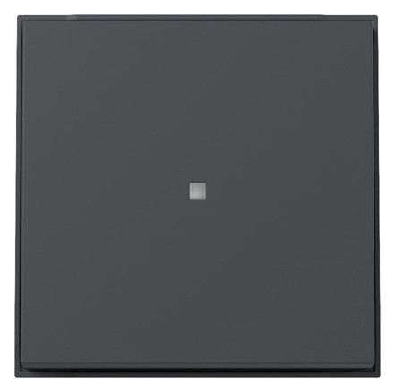 GIRA 329067 Wippe Kontrollfenster TX_44 WG UP Anthrazit