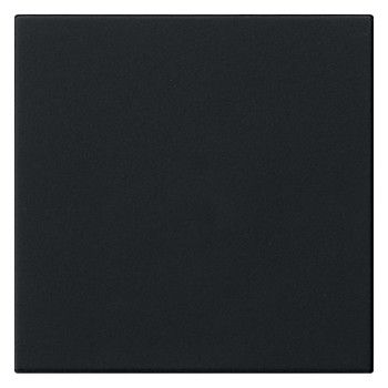 GIRA 5372005 Wippe 1fach unbedruckt Schwarz matt