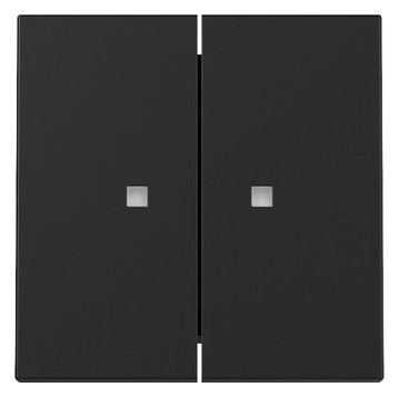 GIRA 3631005 Wippe 2fach Kontrollfenster Schwarz matt