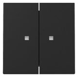 GIRA 3631005 Wippe 2fach Kontrollfenster Schwarz matt