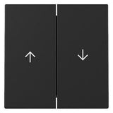 GIRA 3294005 Wippe 2fach Pfeil System 55 Schwarz matt (lackiert)