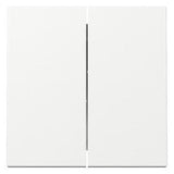 GIRA 329503 Wippe 2fach System 55 Reinweiß glänzend