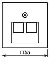 Jung A569-2BFPLUASWM Abdeckung f.IAE/UAE-Anschlussdose