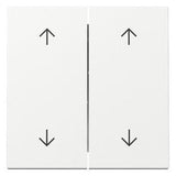 GIRA 329703 Wippe 2fach Pfeile System 55 Reinweiß glänzend