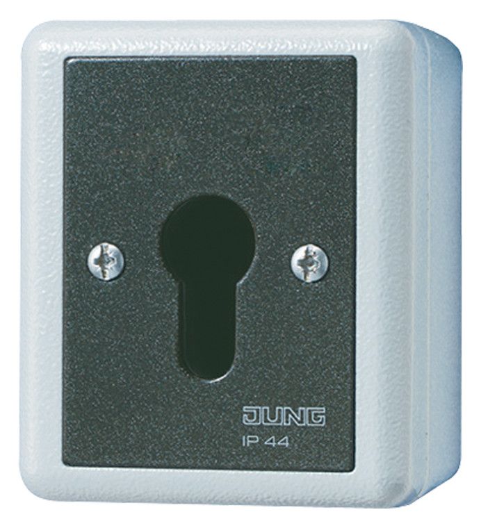 Jung 806.28G AP/WG Schlüsselschalter 2p Aus-Wechsel WG800/WG600