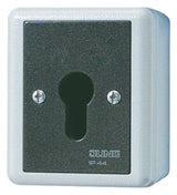 Jung 806.28G AP/WG Schlüsselschalter 2p Aus-Wechsel WG800/WG600