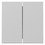 GIRA 3295015 Wippe 2fach System 55 Grau matt (lackiert)