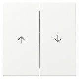 GIRA 329427 Wippe 2fach Pfeil System 55 Reinweiß seidenmatt