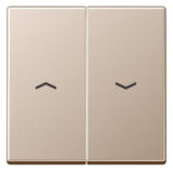 Jung A595PCH Wippe m.Symbolen Auf/Ab f.509VU/539VU Serie A champagner