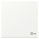 GIRA 328727 Wippe Symbol Tür System 55 Reinweiß seidenmatt