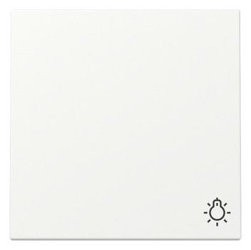 GIRA 328527 Wippe Symbol Licht System 55 Reinweiß seidenmatt