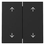 GIRA 3297005 Wippe 2fach Pfeile System 55 Schwarz matt (lackiert)