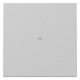 GIRA 3290015 Wippe Kontrollfenster System 55 Grau matt (lackiert)