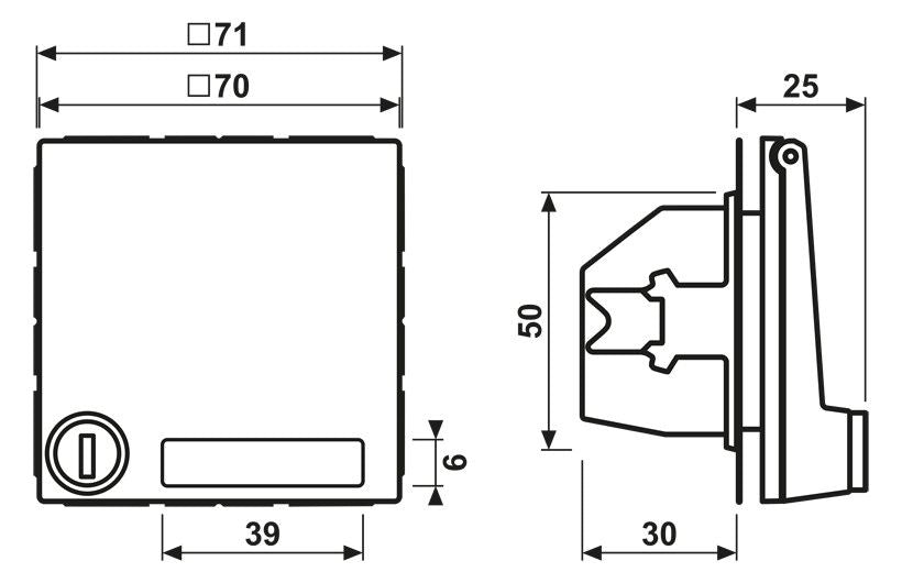 Jung LS 1520 NAKLSL WW SCHUKO-Steckdose 16A 250V Berührungs.- schutz Klappd.SF