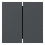 GIRA 329528 Wippe 2fach System 55 Anthrazit