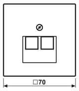 Jung ES2969-2UA Abdeckung f.IAE/UAE 2x8polig LS Edelstahl