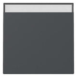 GIRA 329928 Wippe Beschriftungsfeld System 55 Anthrazit