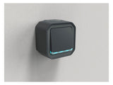 Legrand 069782L Plexo New FRAP Taster beleuchtet 10 A Steckkl.(SL) IK08