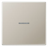 Jung ES2990KO5 Wippe Lichtleiter LS Edelstahl