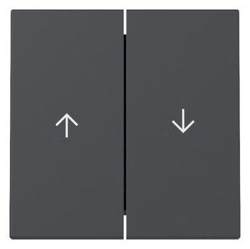 GIRA 329428 Wippe 2fach Pfeil System 55 Anthrazit