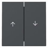 GIRA 329428 Wippe 2fach Pfeil System 55 Anthrazit