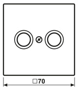 Jung ES2990TV Abdeckung 2Loch f.Antennen-Steckdose LS Edelstahl